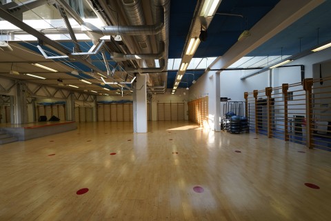 gallery visual content