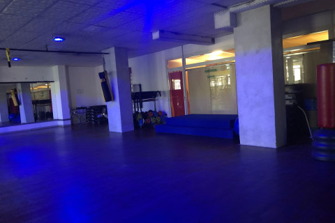 gallery visual content
