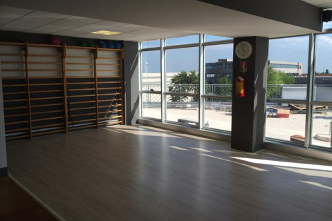 gallery visual content