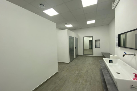 gallery visual content