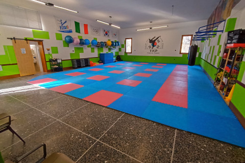 gallery visual content