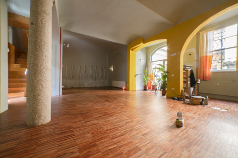 gallery visual content