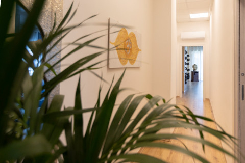 gallery visual content