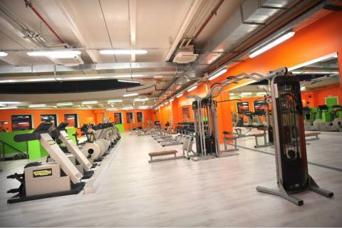 Contact Gym Mantova