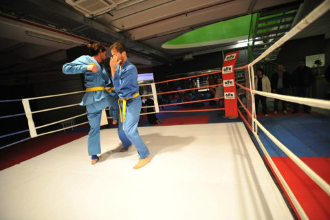 gallery visual content