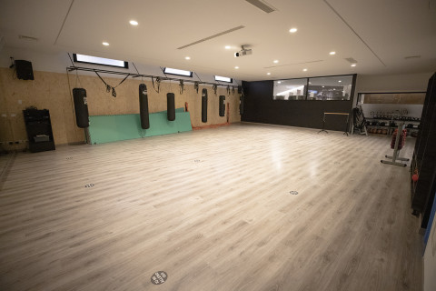 gallery visual content