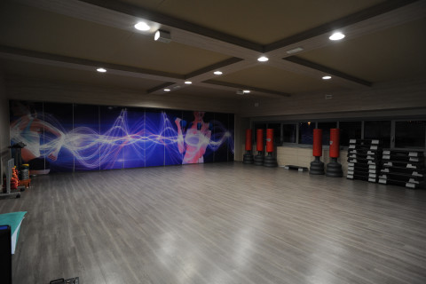 gallery visual content