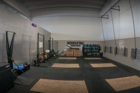 gallery visual content