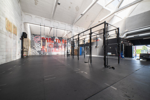gallery visual content