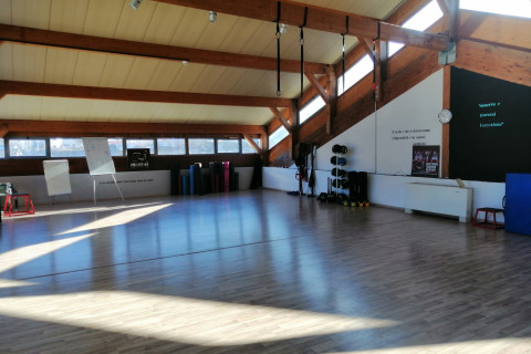 gallery visual content