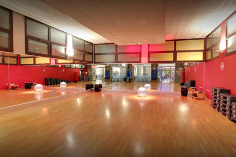 gallery visual content