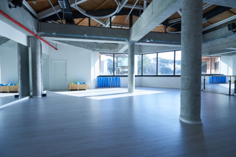 gallery visual content