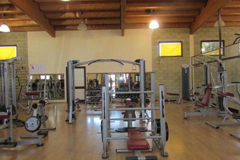 Dynami Center