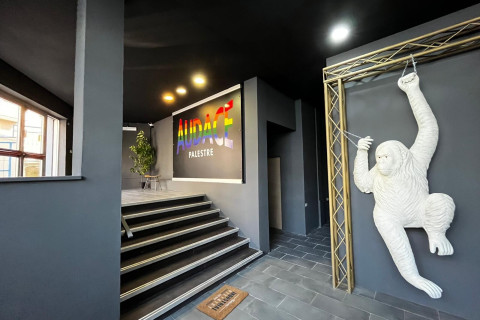 gallery visual content