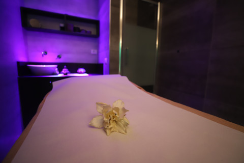 gallery visual content