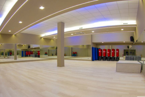 gallery visual content