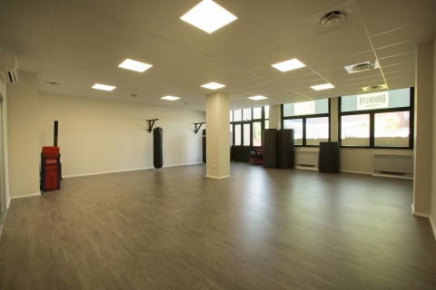 gallery visual content