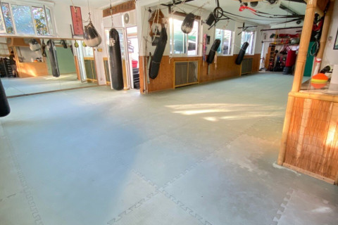 gallery visual content