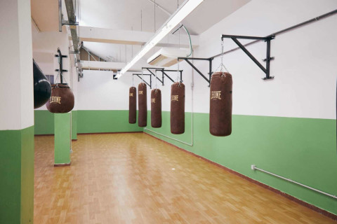 Underdog Boxing Family