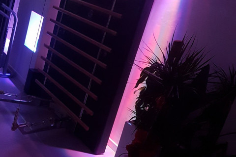 gallery visual content