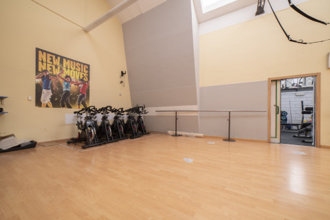 gallery visual content