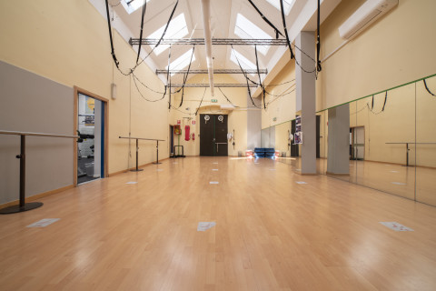 gallery visual content