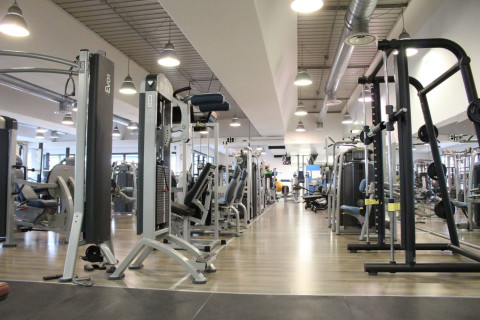 Palestra Futura