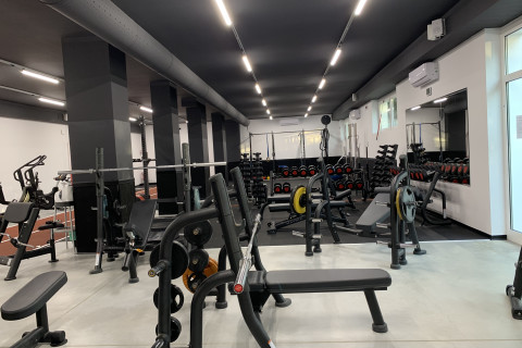 The Lab