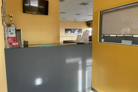 gallery visual content