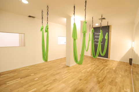 gallery visual content