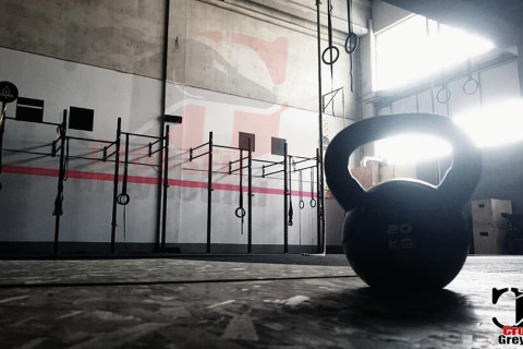 Crossfit Greyhound