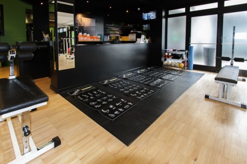 gallery visual content