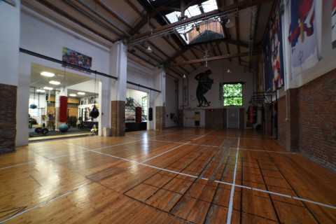 gallery visual content