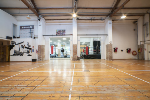gallery visual content