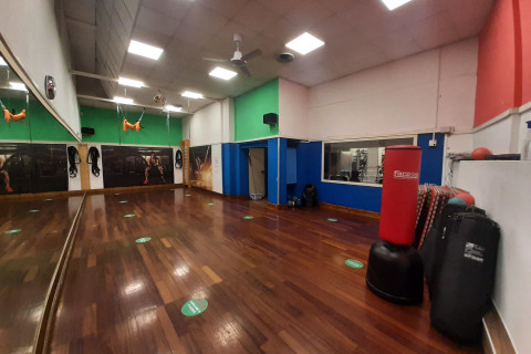 gallery visual content