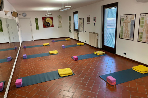 Holismos Yoga Wellness