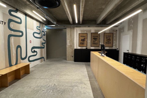 gallery visual content