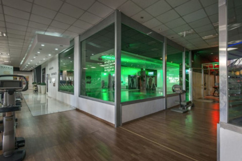 gallery visual content