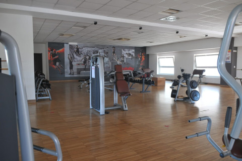Vitality Ragusa
