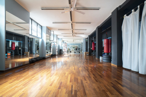 gallery visual content