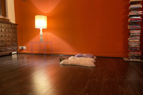 Kata Dynamin Centro per la Mindfulness - Carcereri