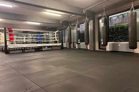 gallery visual content