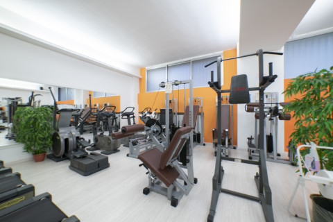 La Palestra Ssd