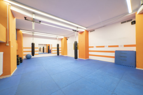 gallery visual content