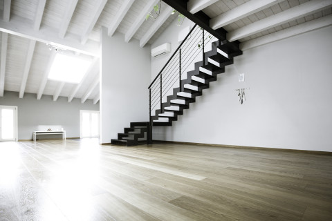 gallery visual content