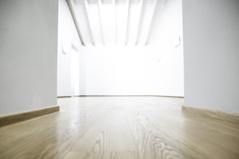 gallery visual content