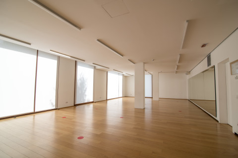 gallery visual content