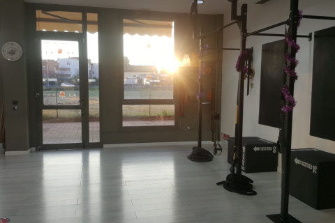 gallery visual content