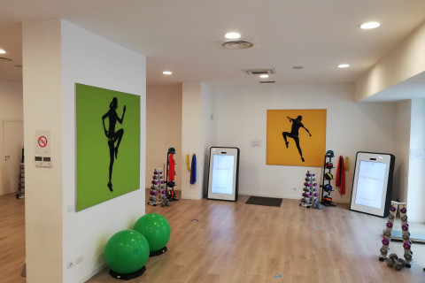 gallery visual content