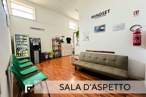 gallery visual content